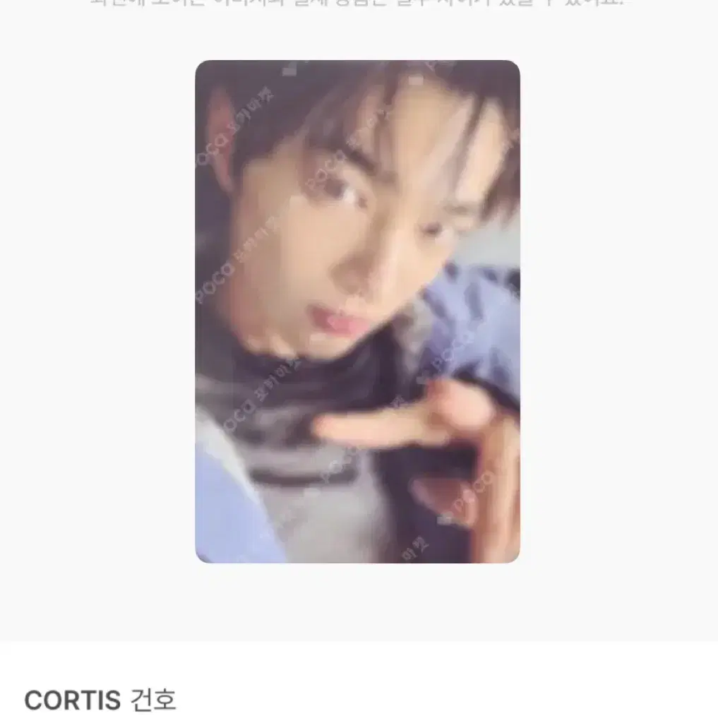 코르티스 건호 GREENGREEN 그린그린 위버스 포카