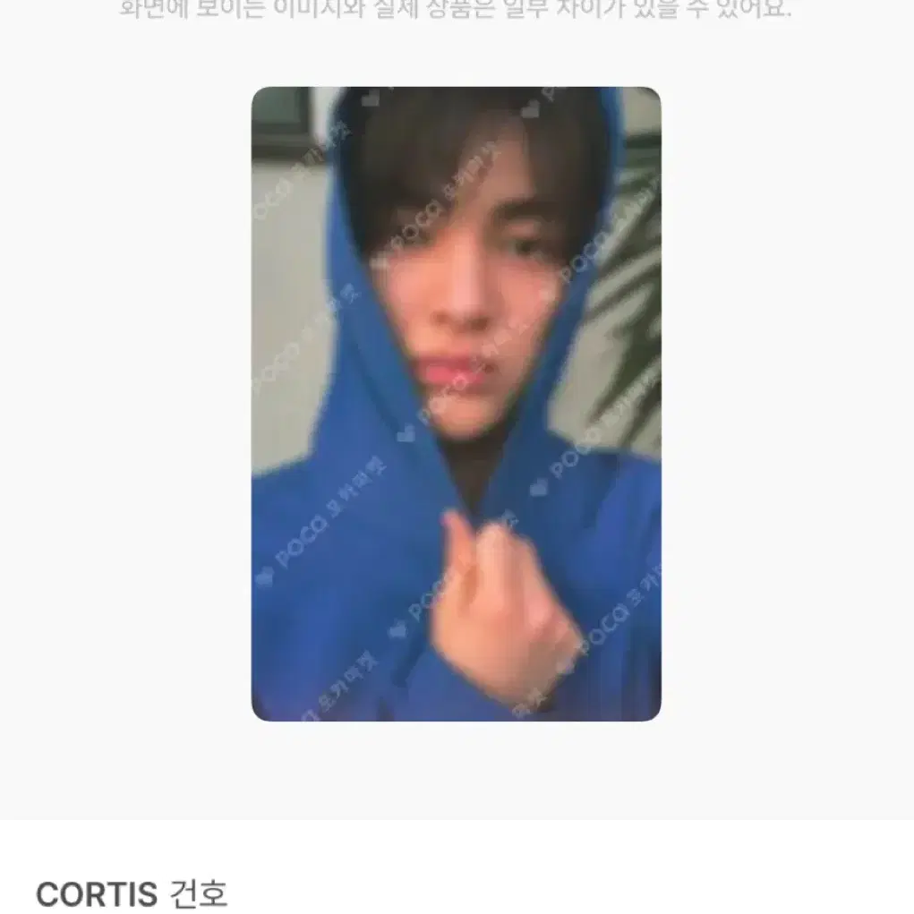 코르티스 건호 GREENGREEN 그린그린 포카 양도