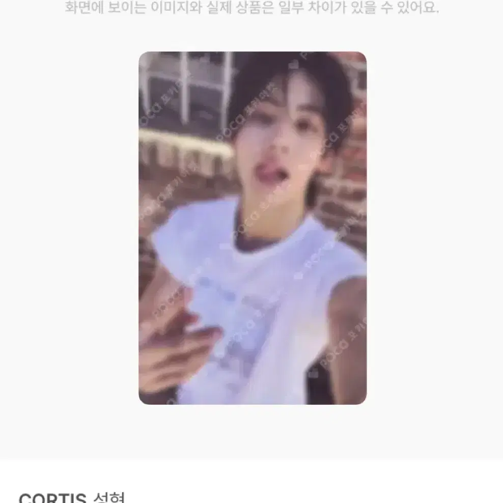코르티스 성현 GREENGREEN 그린그린 위버스 럭드 포카
