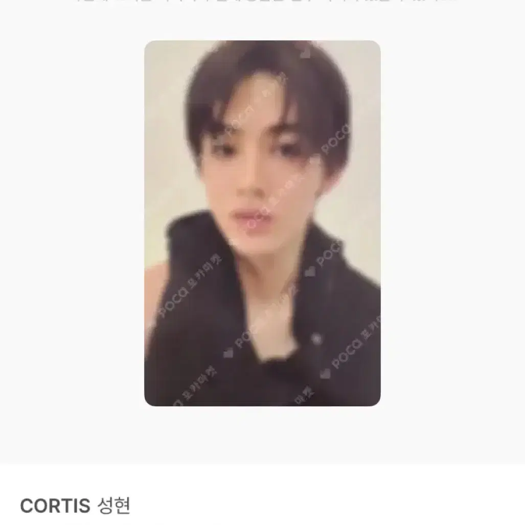 코르티스 성현 GREENGREEN 그린그린 후즈팬 포카