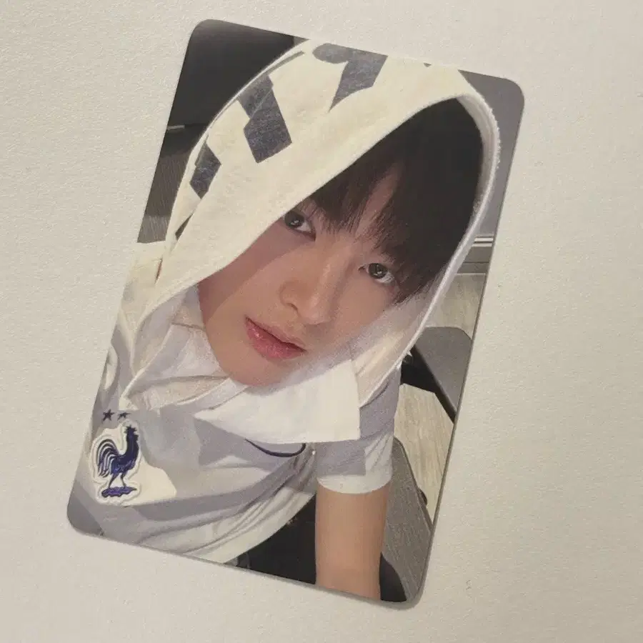 코르티스 릴리즈파티 건호 포카