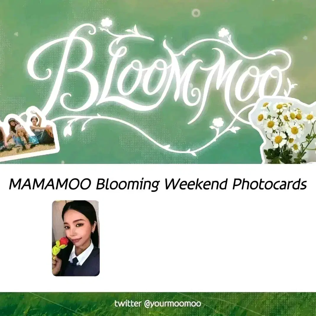 판매) 마마무 솔라 블룸무 bloommoo 꽃집 포토카드 포카