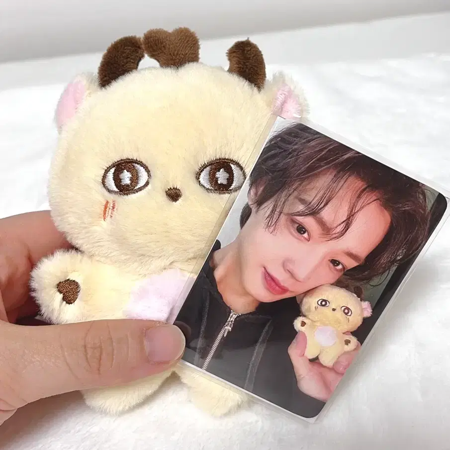 (포카포함O) 박지훈 인형 소심이 공식굿즈 왕사남 약한영웅