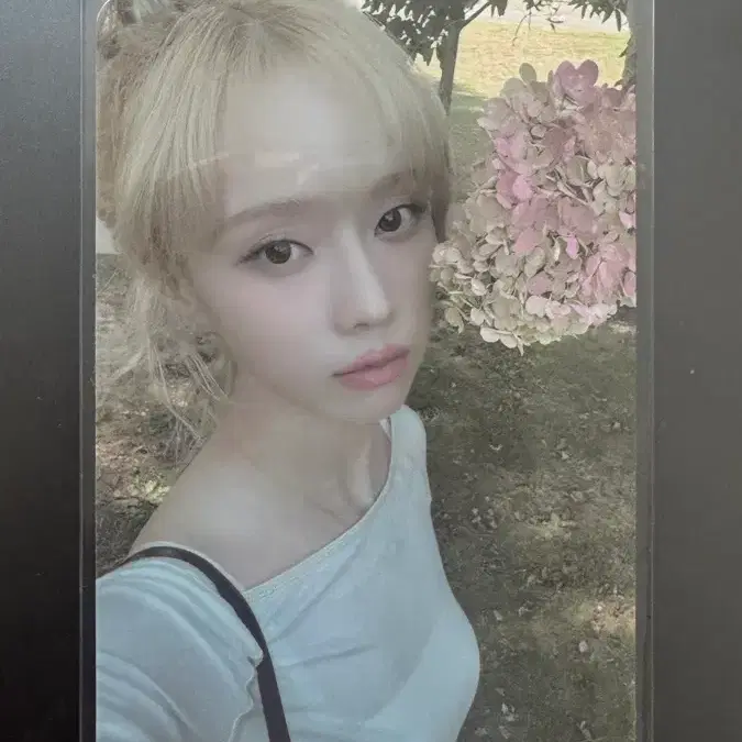 에스파 윈터 smstore 럭키드로우 럭드 포카 양도