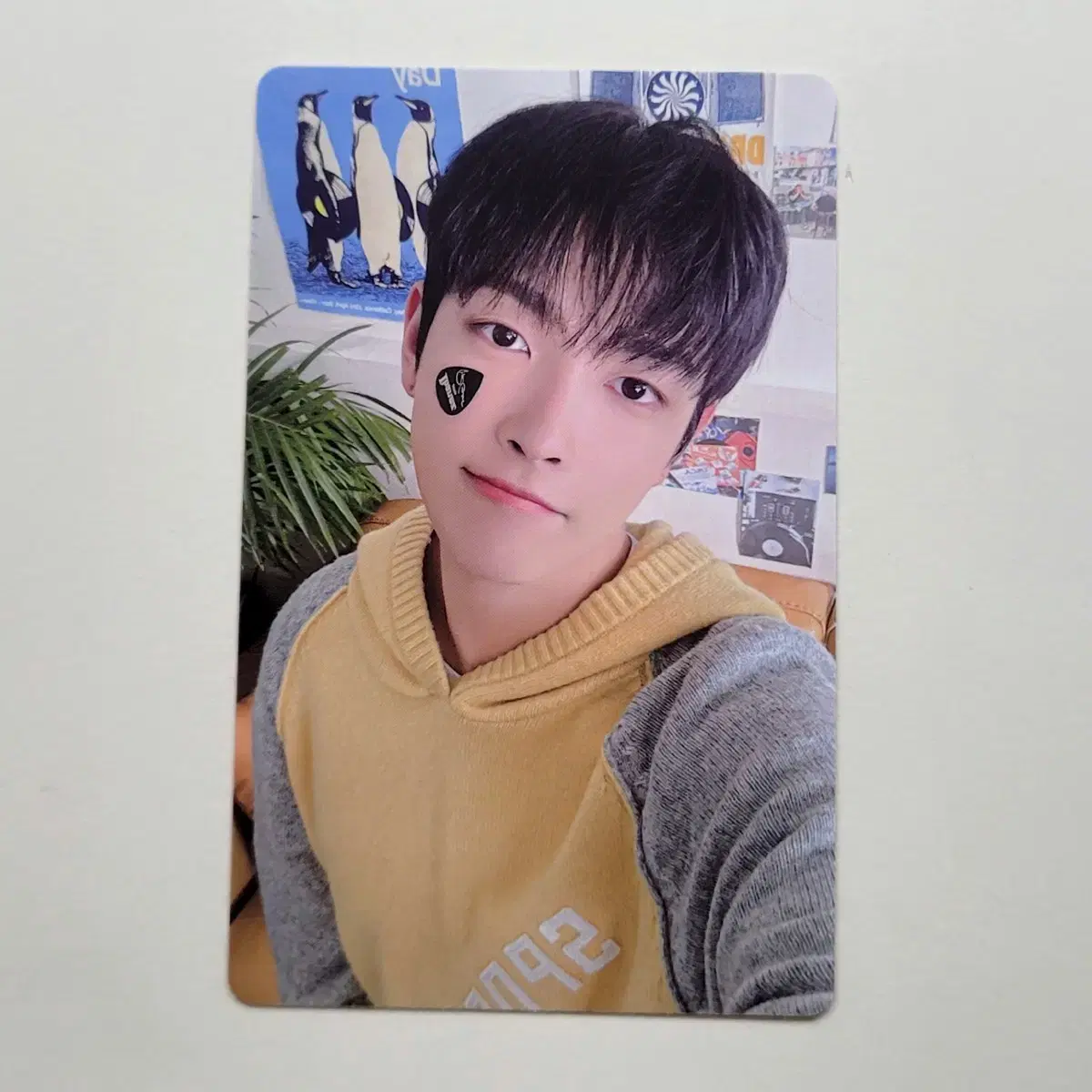 에이티즈 홍중 2025 시즌그리팅 포토카드