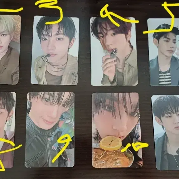 앤더블 앨범 포카(3버전)네이비,레드,그린.장하오 리키 승언 규빈 유진