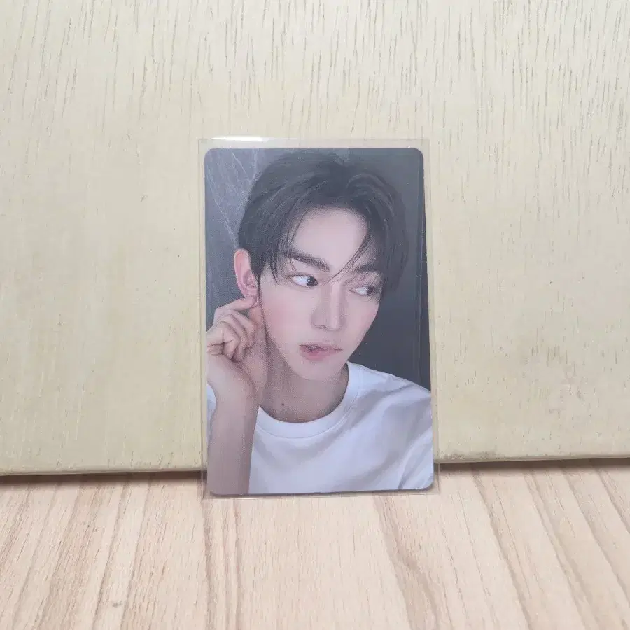 투어스 한진 타겟 썸머비트 포카 양도 신유도훈영재한진지훈경민