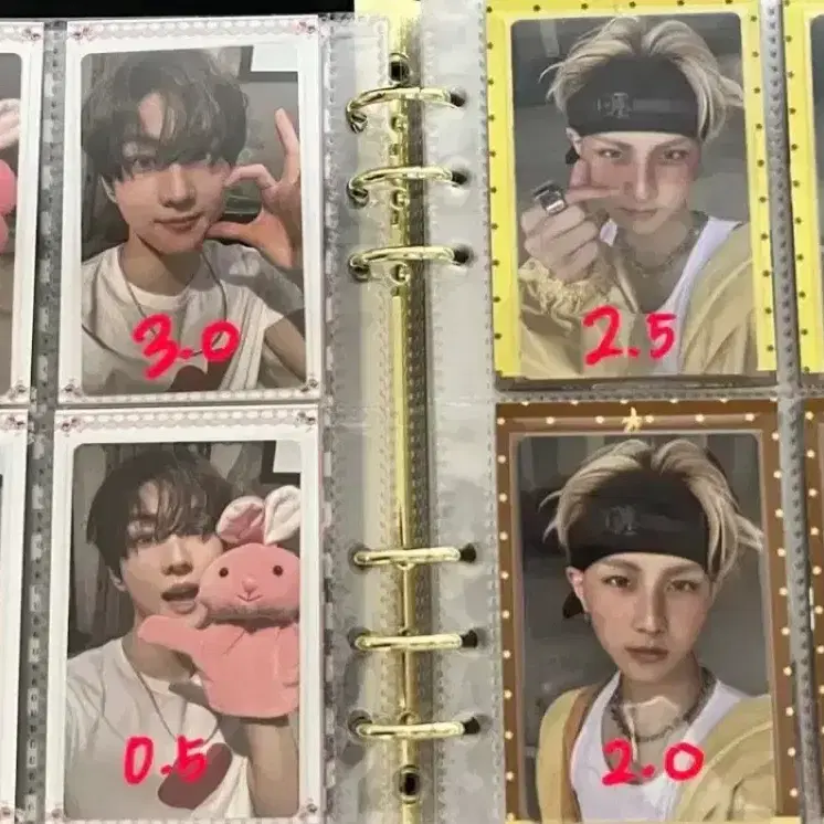 엔하이픈 정원 포카 언씬 언톨드 데이드림 디아이콘 럭드 특전 6