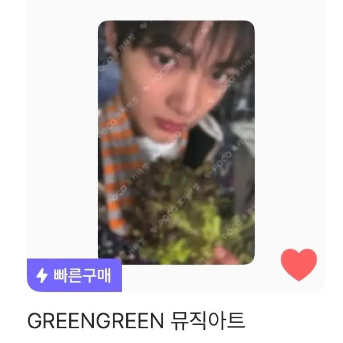 코르티스 건호 GREEN GREEN 뮤직 아트 포토카드 포카