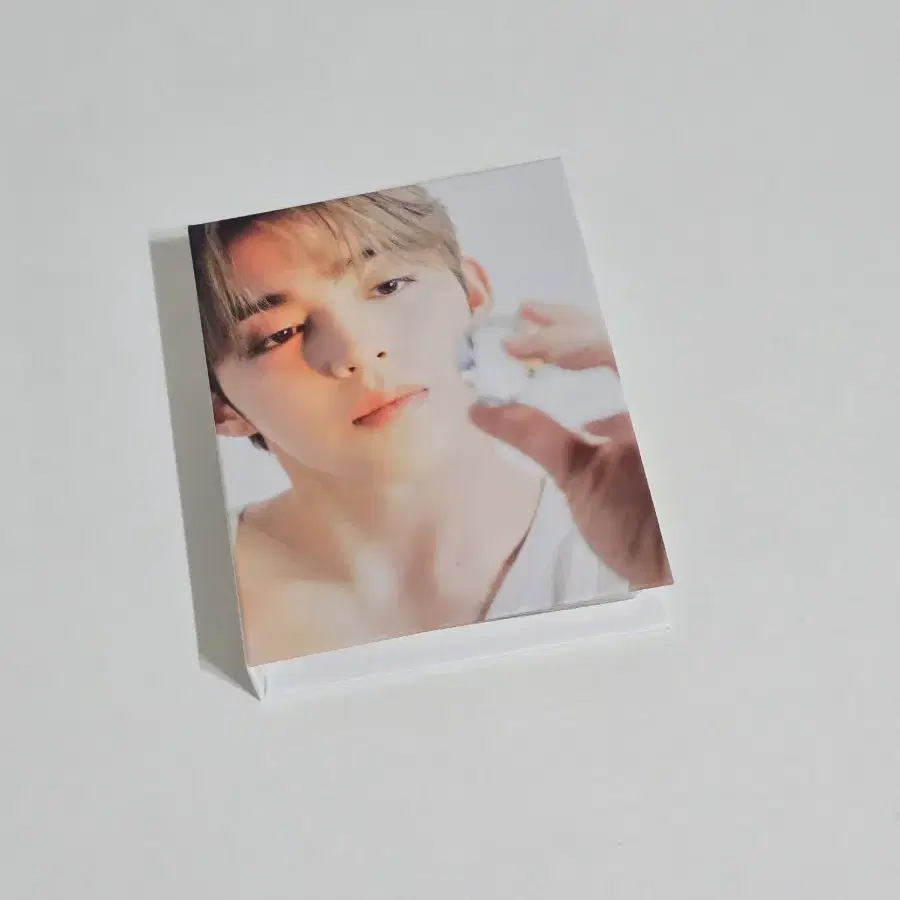 세븐틴 에스쿱스 디어반 캐럿반 포카