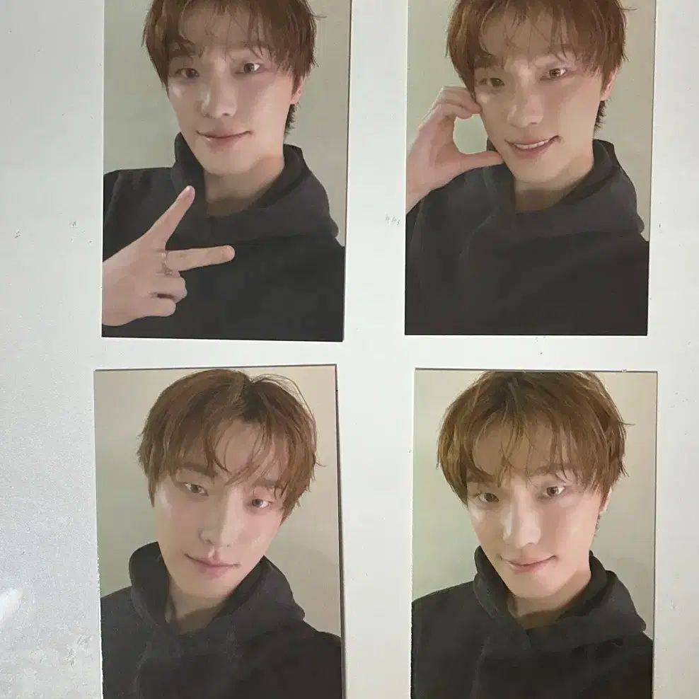 디노 생일 MD 포토카드