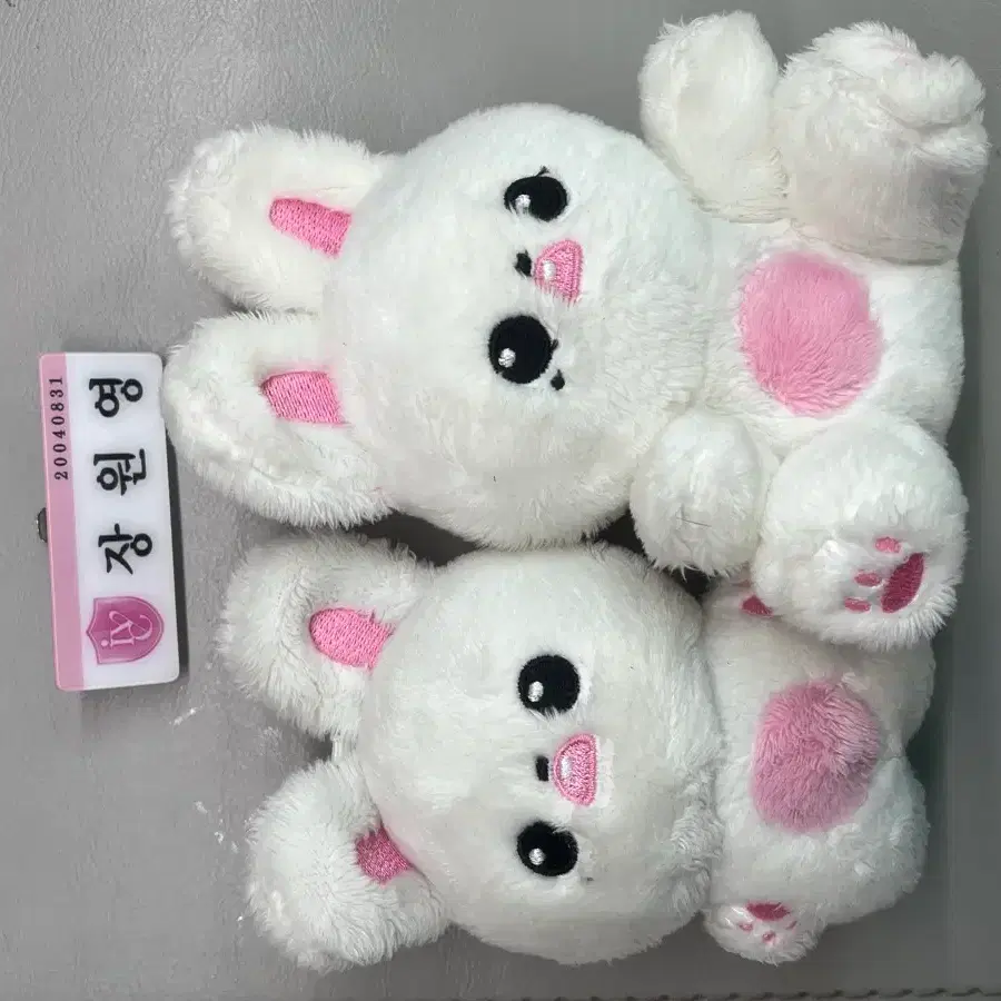 아이브장원영 버니녕 앉니녕,명찰 양도/교환 포카코르티스성현건호분철리바이브