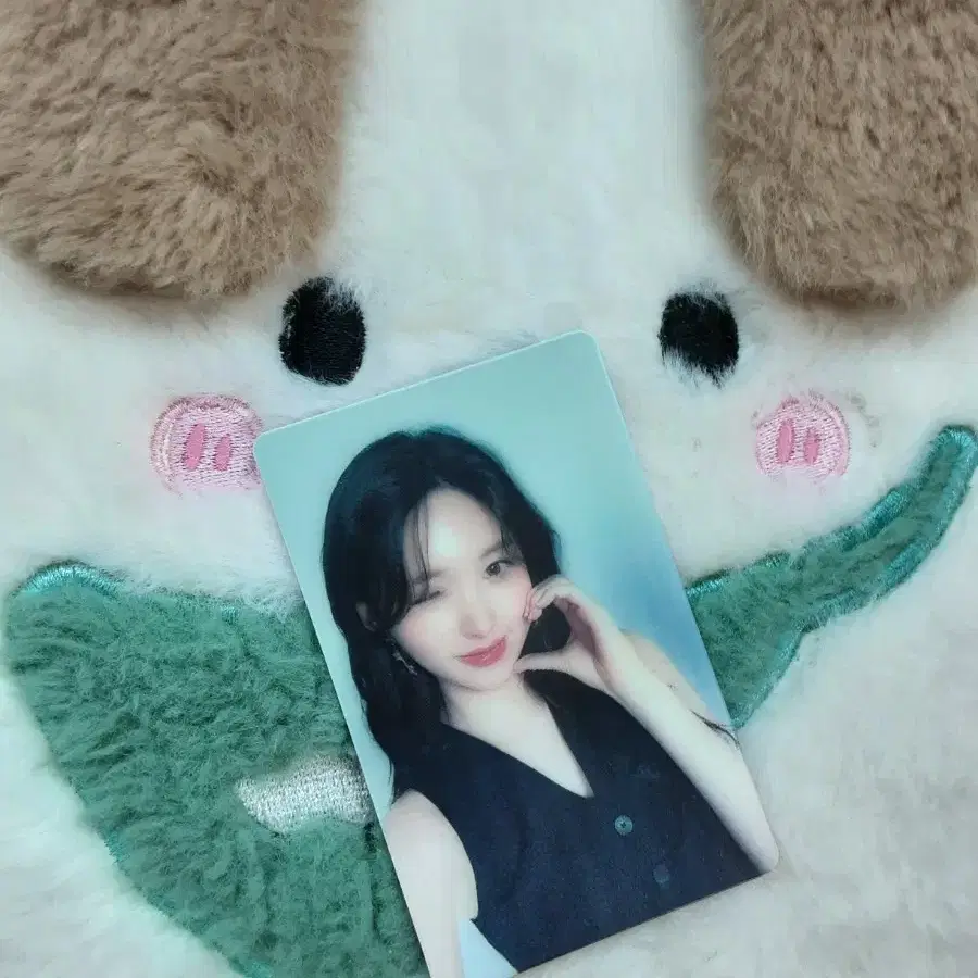 아이브 가을 9차 파파존스 포카