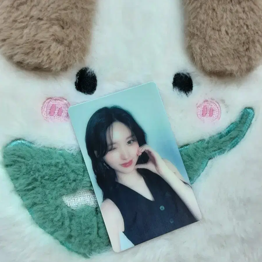 아이브 가을 9차 파파존스 포카 2
