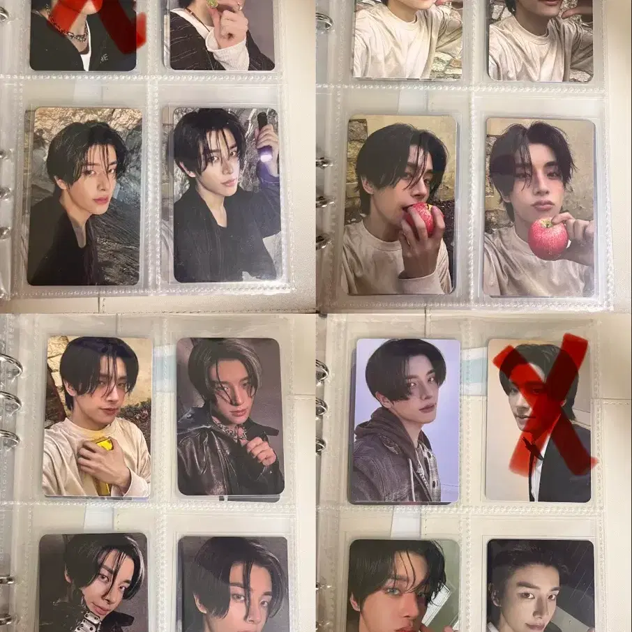 엔하이픈 포카 양도 7