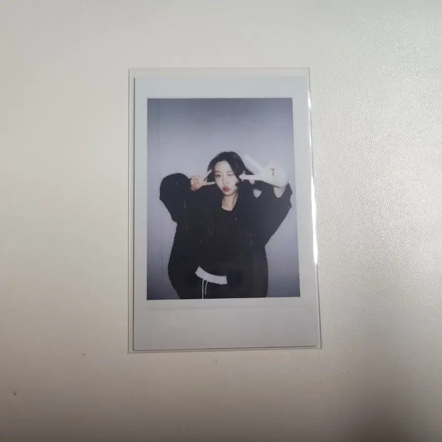 하츠투하츠 스텔라 더체이스 스타리버 폴라 포카 양도 이안지우에이나예온유하