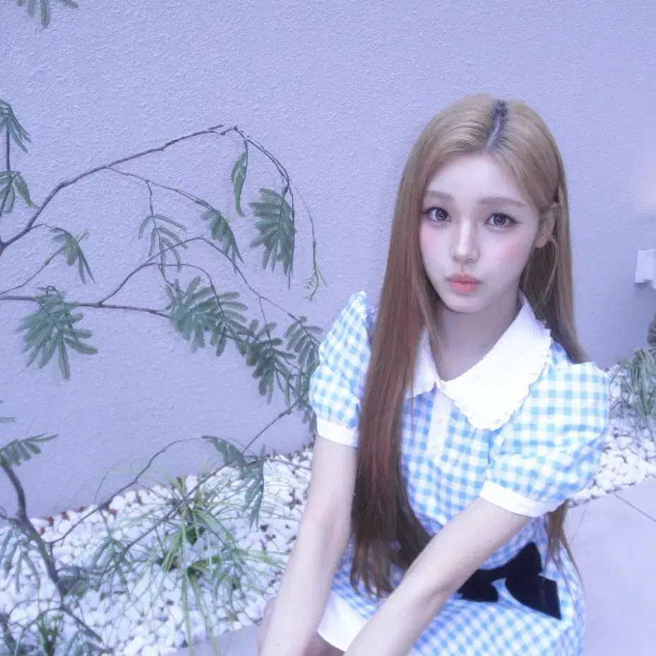 이즈나,아이브 포카로 하투하 포카 구해요 (급구) 5