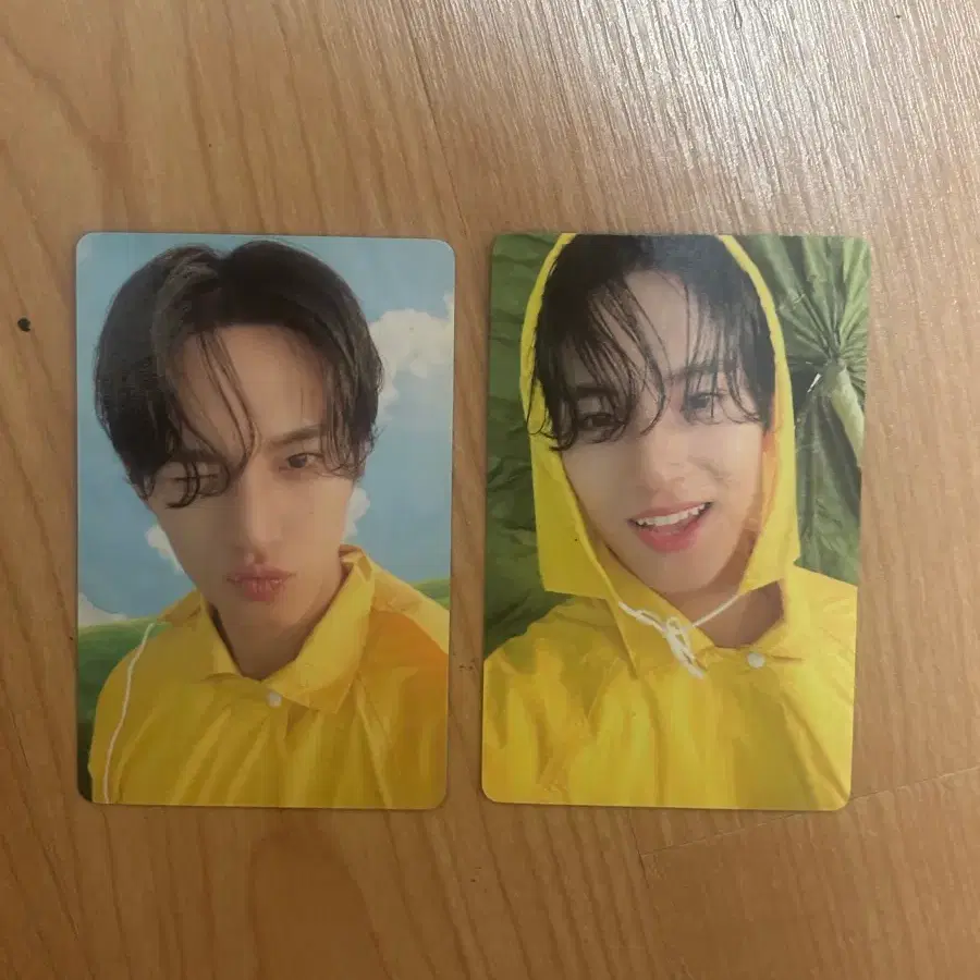 세븐틴 포카 판매 4