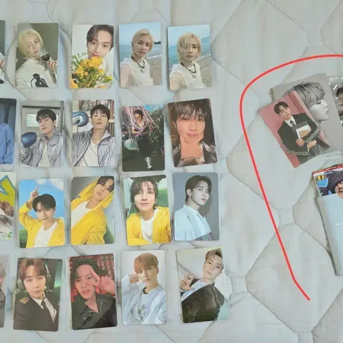 세븐틴 윤정한 조슈아 준 이도겸 김민규 전원우 호시 디에잇 포카 양도