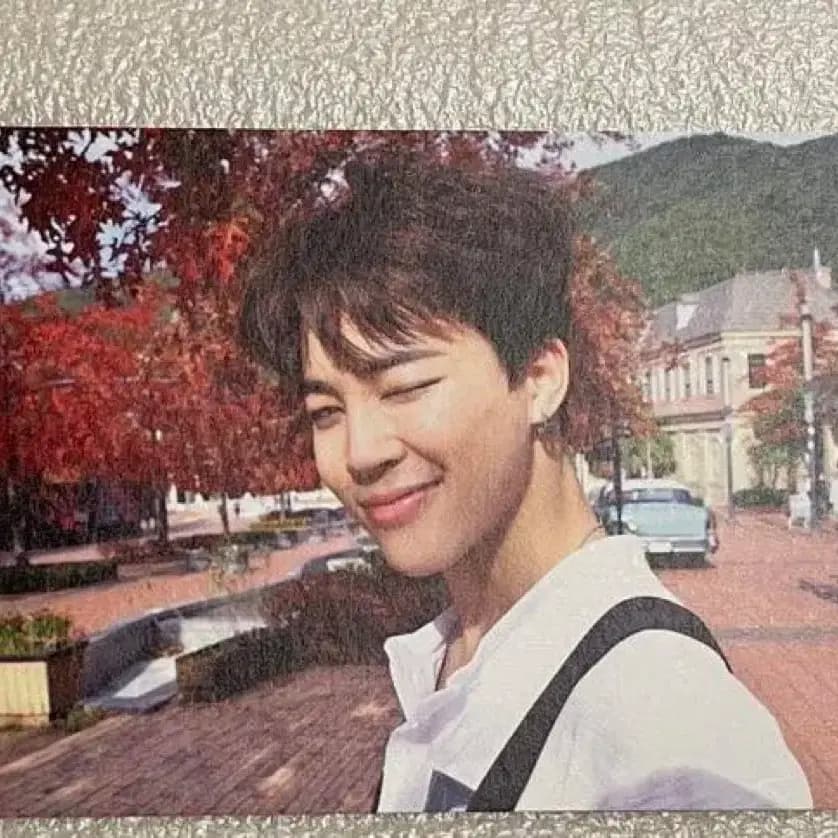 방탄 BTS 지민 호르몬전쟁 공방포카 1