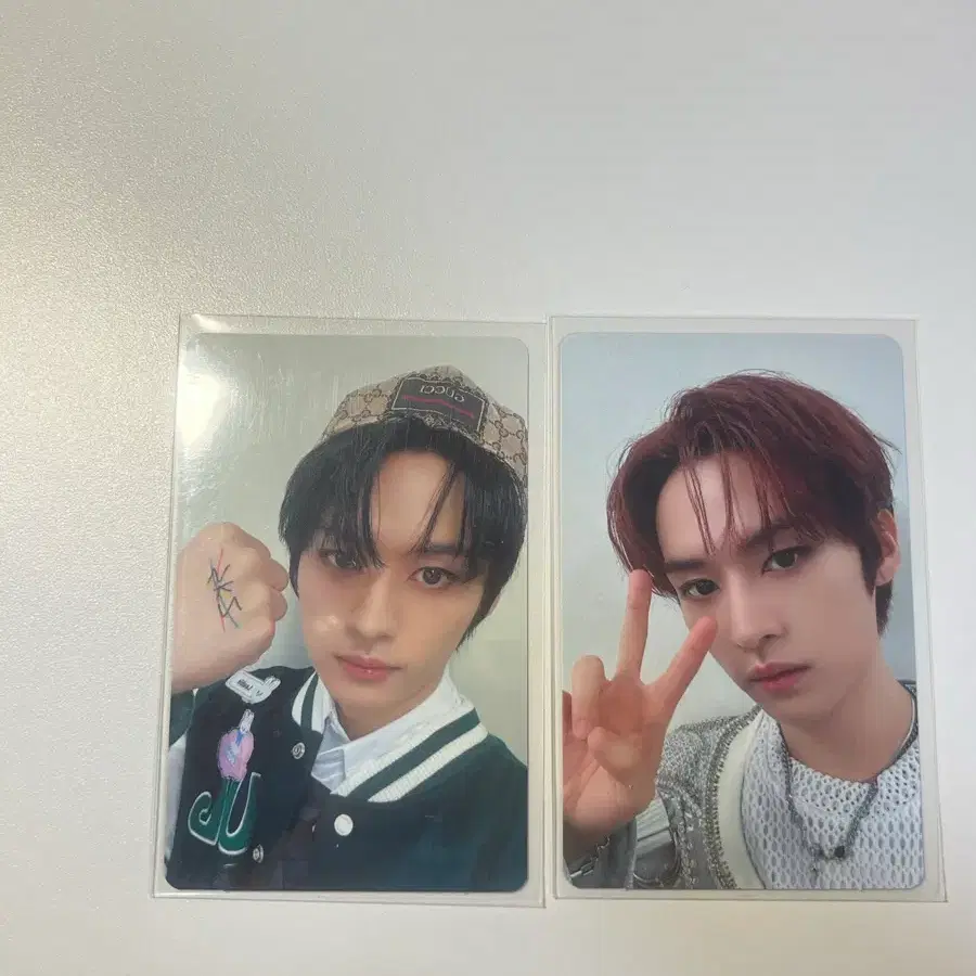 리노 돔투어 포카 양도