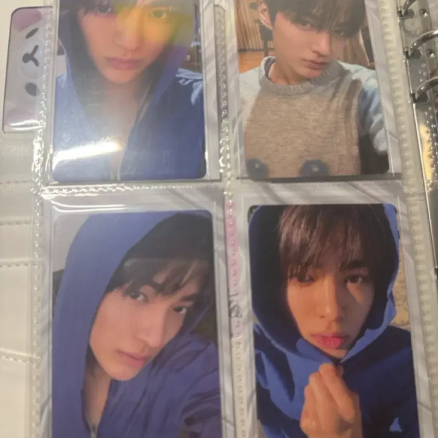 코르티스 건호포카 양도 2