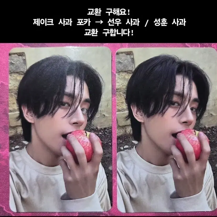 7집 엔진반 제이크 사과포카 교환 / 판매