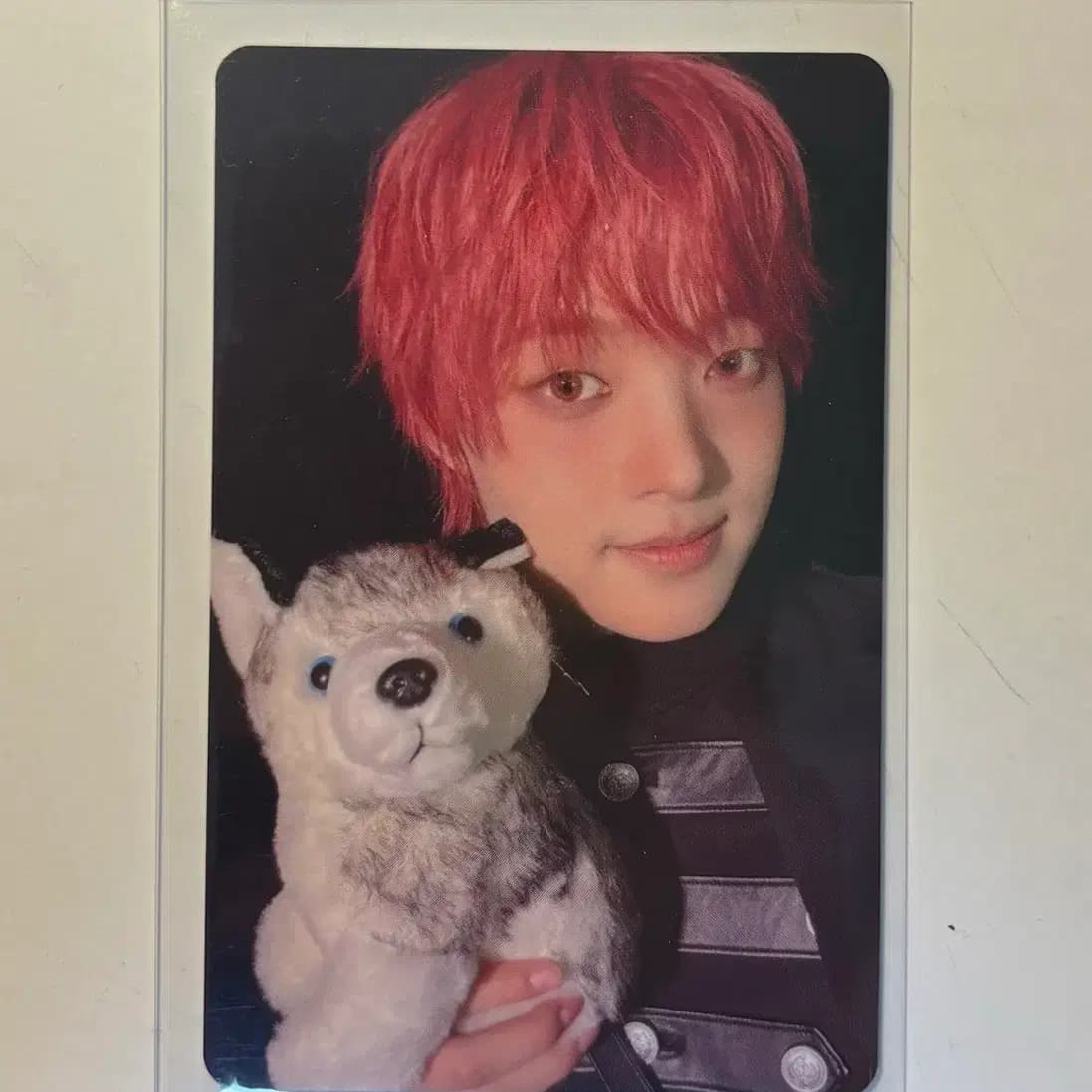의주 btw 투어 르네존 포카