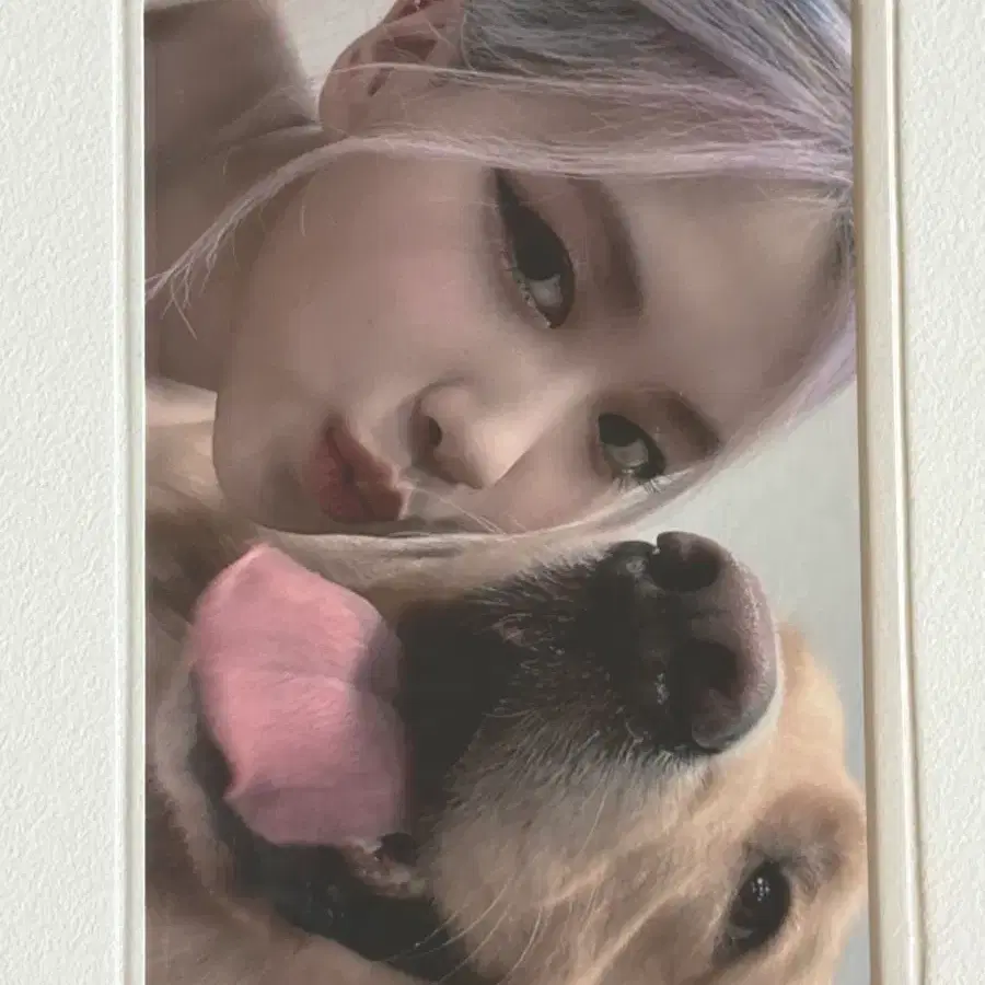 블랙핑크 로제 더앨범 케타포 포카 판매 양도 1