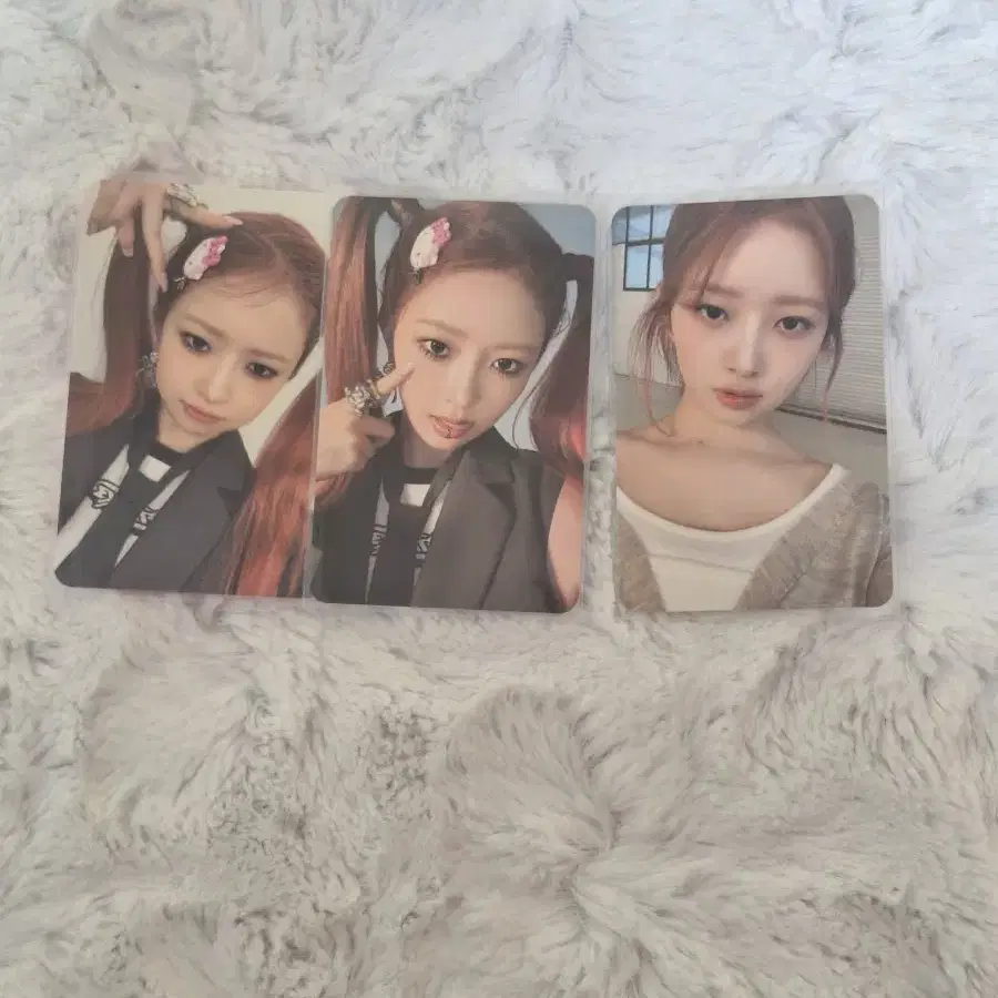 아이브 레이 포카 4