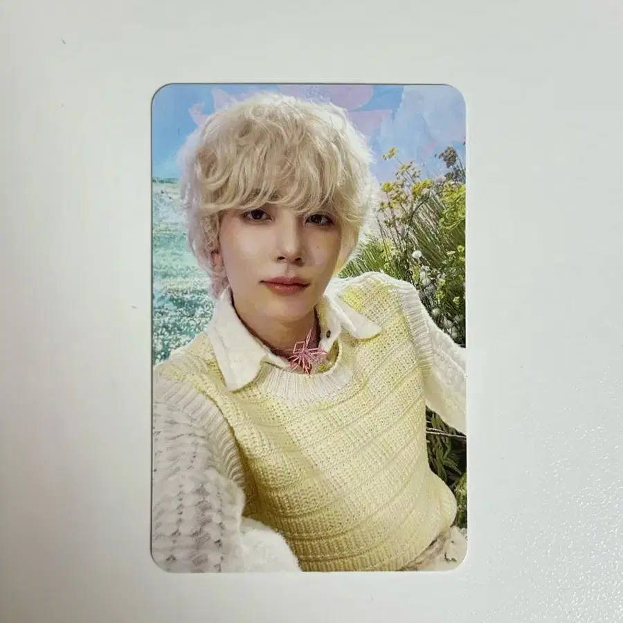 세븐틴 정한 디스맨 포카 1
