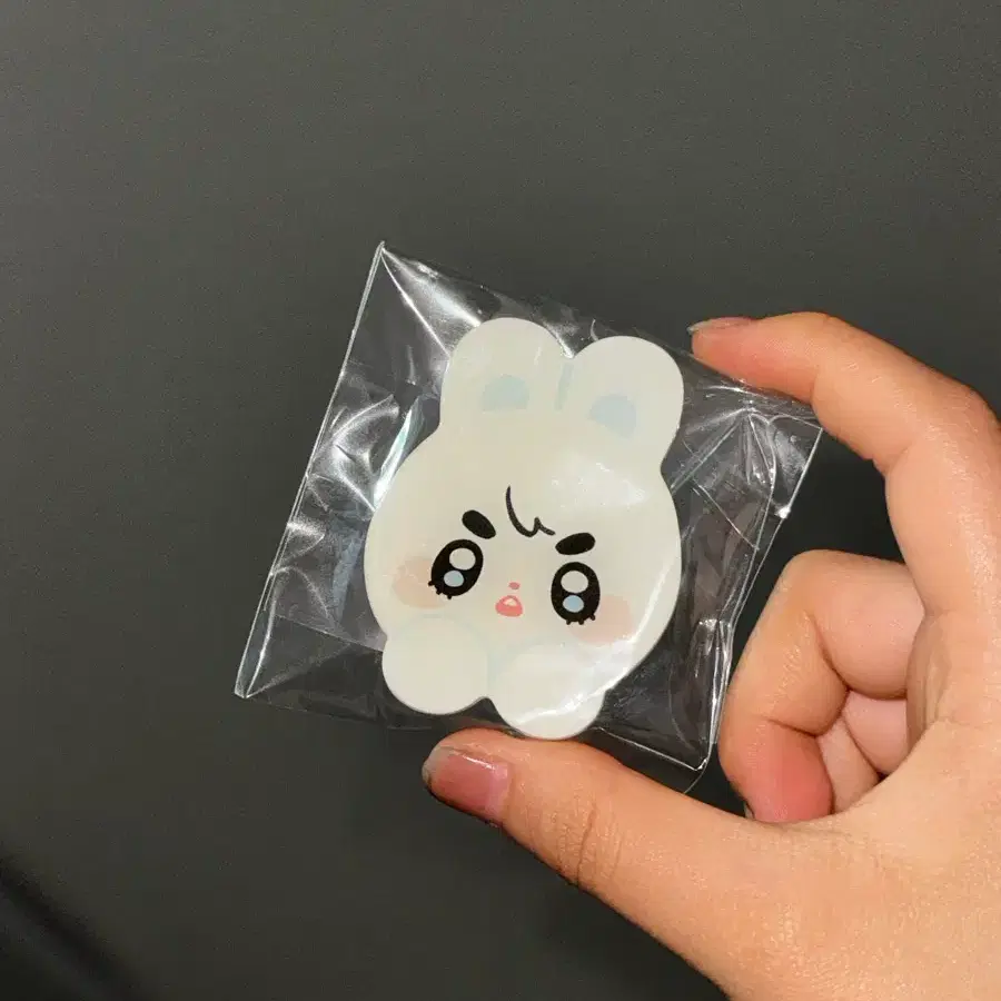 세븐틴 에스쿱스 쿱니니 인형(옷포함)포카홀더 그립톡 스티커 투명포카 판매 3