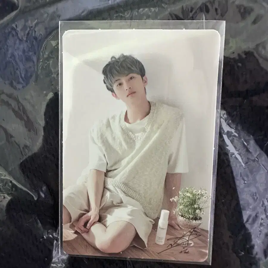 엔시티 마크 인도네시아 네이처 특전 포카 양도