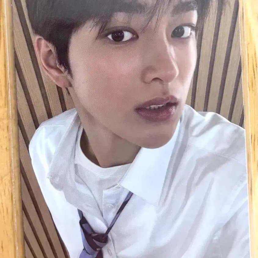 코르티스 건호 엠투유 미공포 포카
