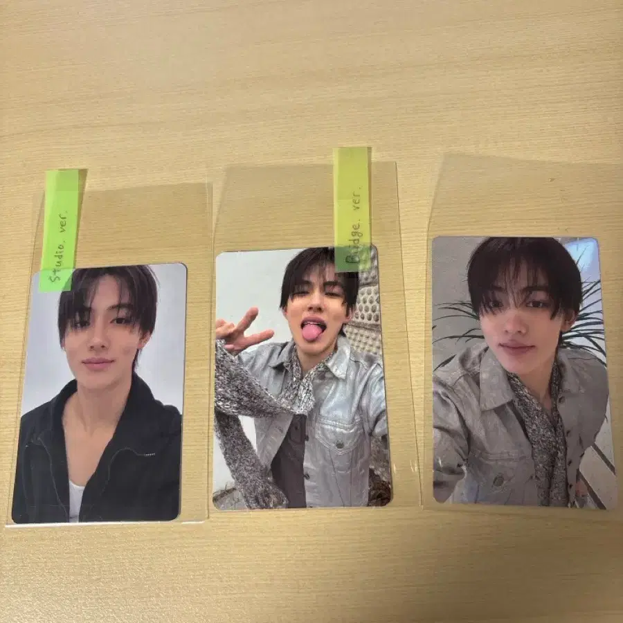 코르티스 성현 greengreen 포토카드