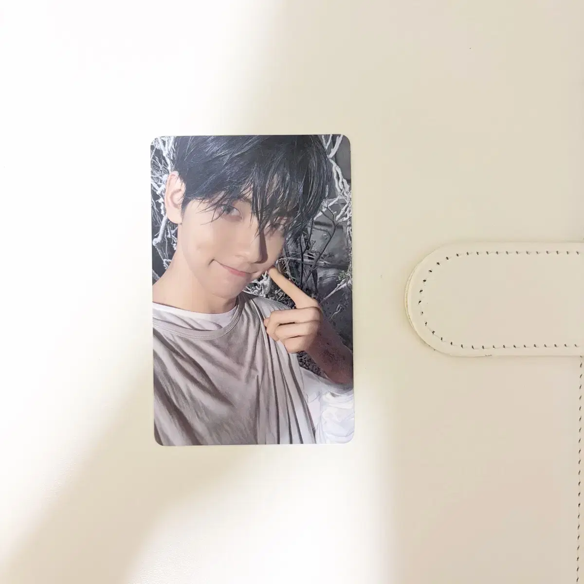 TXT 투바투 수빈 생츄어리 세이비어 앨범 포카