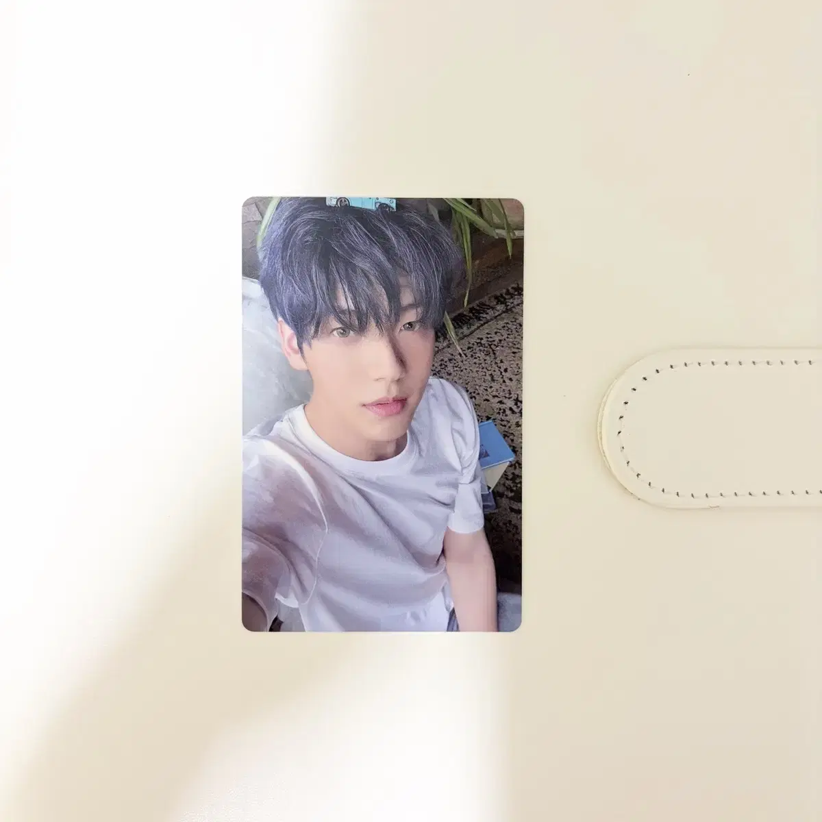TXT 투바투 수빈 생츄어리 머치버전 앨범포카 1