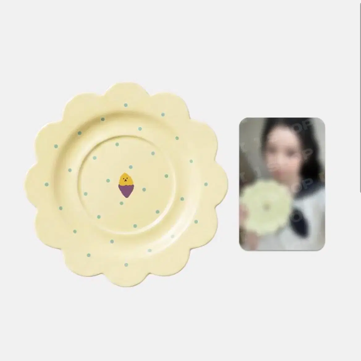 엔믹스 에디션 규진 접시 포카 분철 양도