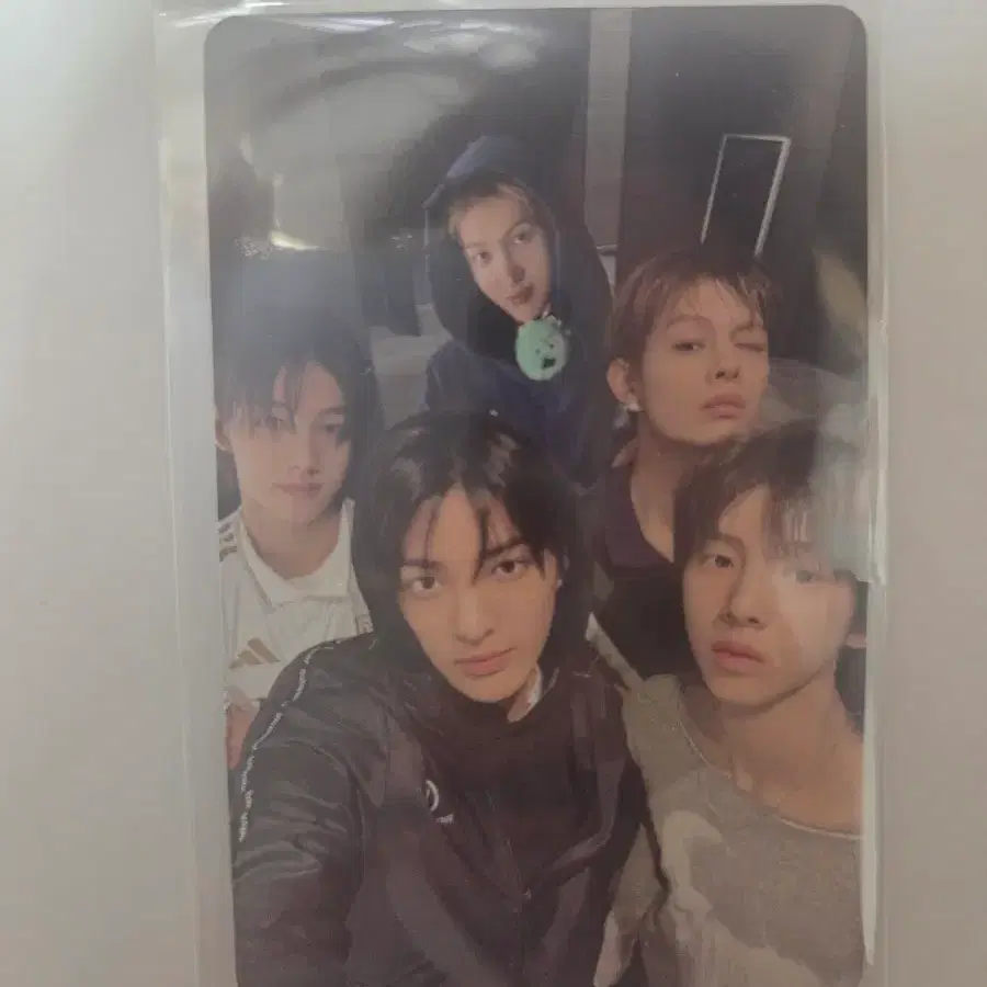 코르티스 코르티스볼 유닛 포카 단체 포토카드