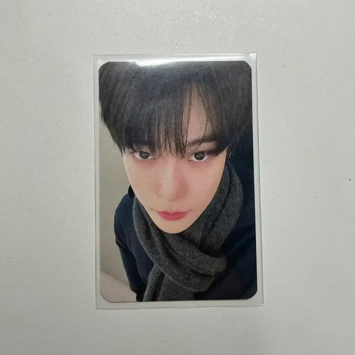 Nct 엔시티127 비데얼폴미 비델폴미 헬로라이브 도영 포카 양도