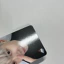 Nct 엔시티127 8주년 팬미팅 도영 포카 양도 4