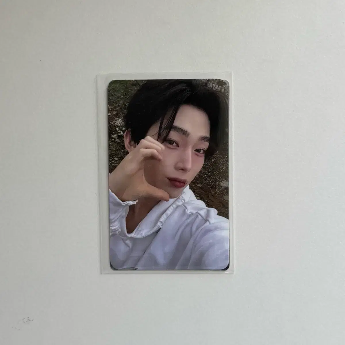 엔하이픈 선우 더신 베니쉬 쇼케이스 포카 판매 1