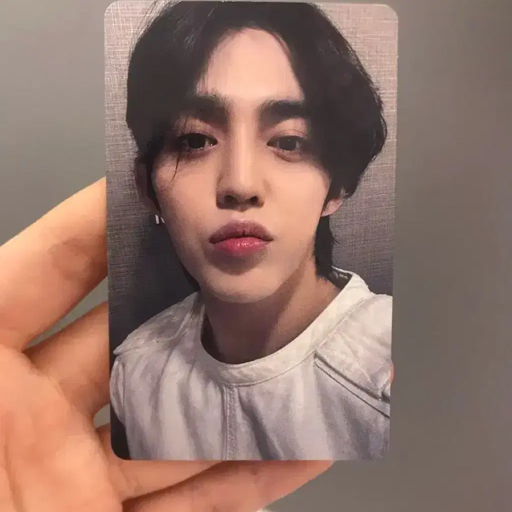세븐틴 fml kms 에스쿱스 포카