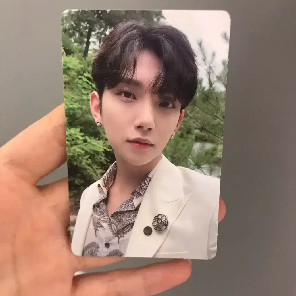 세븐틴 소셜클럽 조슈아 포카