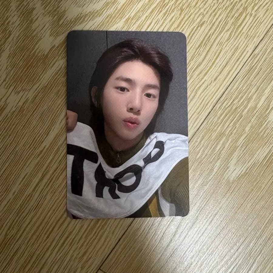 덤) 코르티스 콜팃 cortis 릴리즈파티 릴파 주훈 포카 1