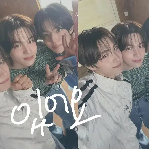 투어스 디아이콘 교환 신유 도훈 영재 한진 지훈 경민 포카 특전 1