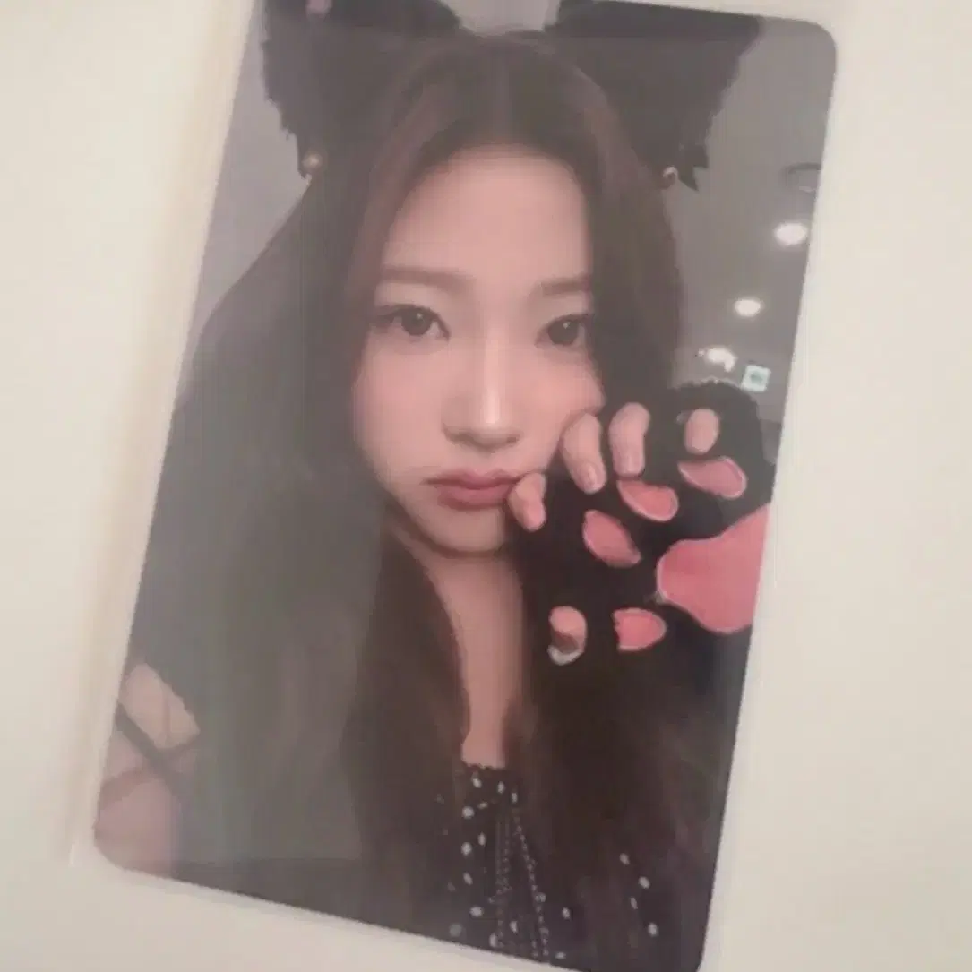 하츠투하츠 하투하 스텔라 스타일 에버라인 포카 미공포 양도 이안지우하람 1