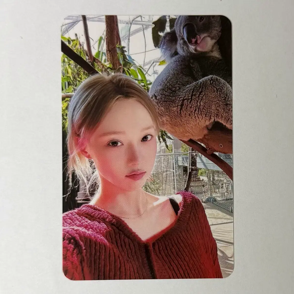 에스파 윈터 위플래시 큐큐뮤직 4성 포토카드 포카 해외 미공포 1