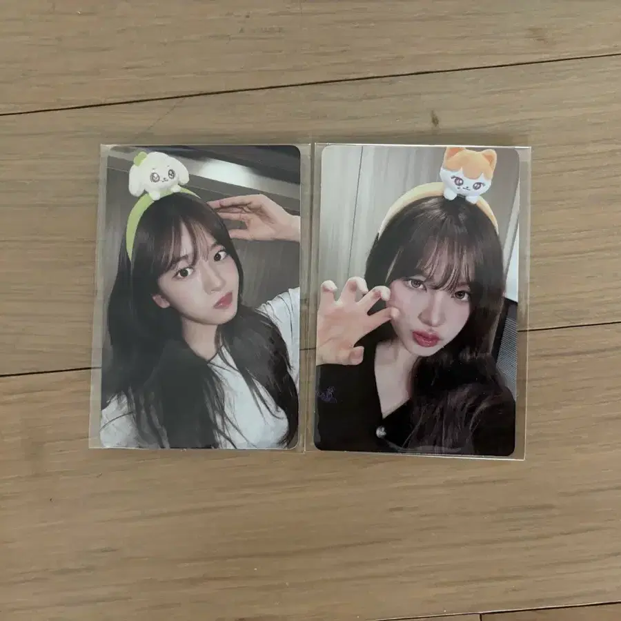 아이브 에버랜드 포카 1