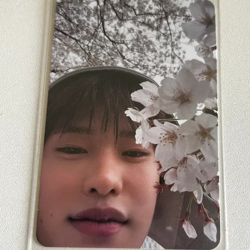 라이즈 소희 포카 판매